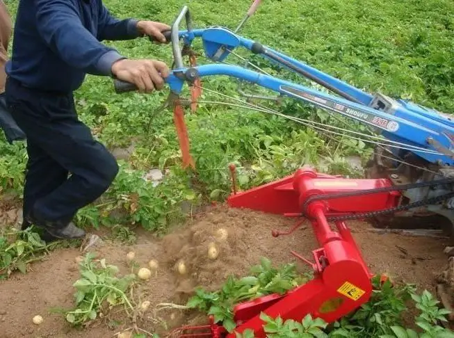 escavadora de batatas para motoblock mtz