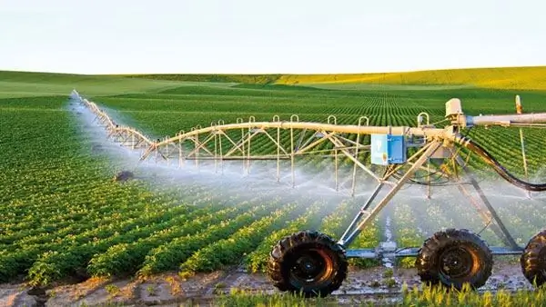 Le secteur agricole est Caractéristiques, développement et problèmes du secteur agricole de la Fédération de Russie