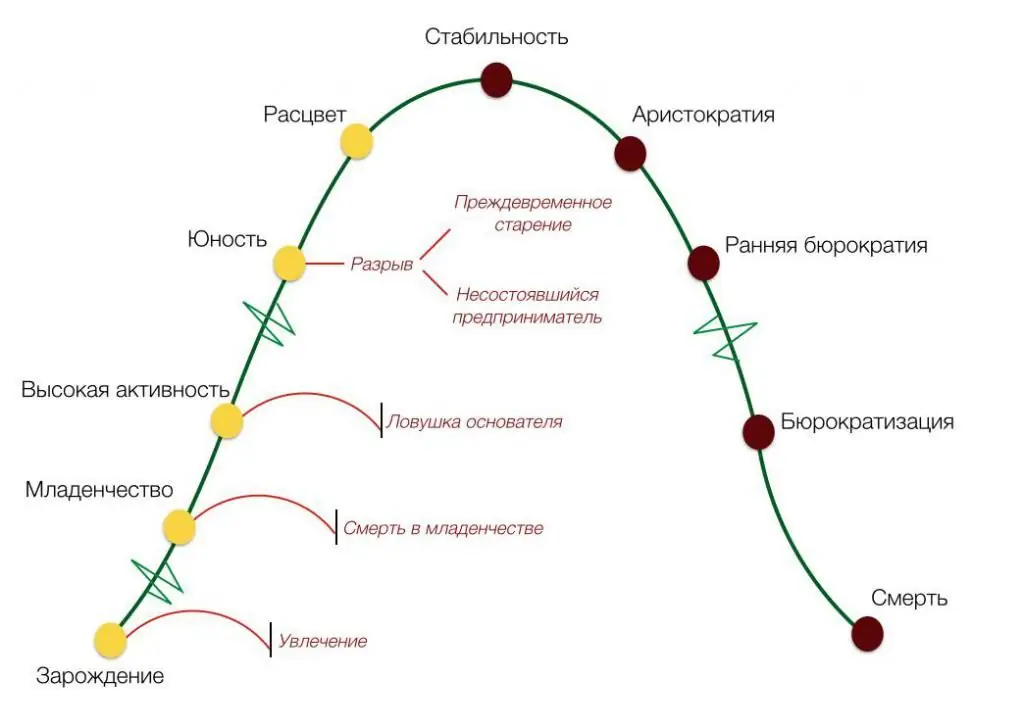 Корпоративдик жашоо циклин башкаруу: мазмуну, негизги тезистери, функциялары жана максаттары