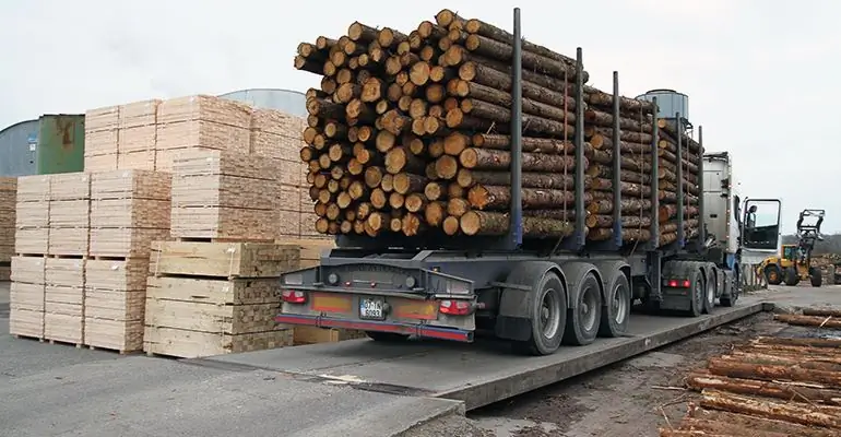 Technologie de transformation du bois et production de produits en bois