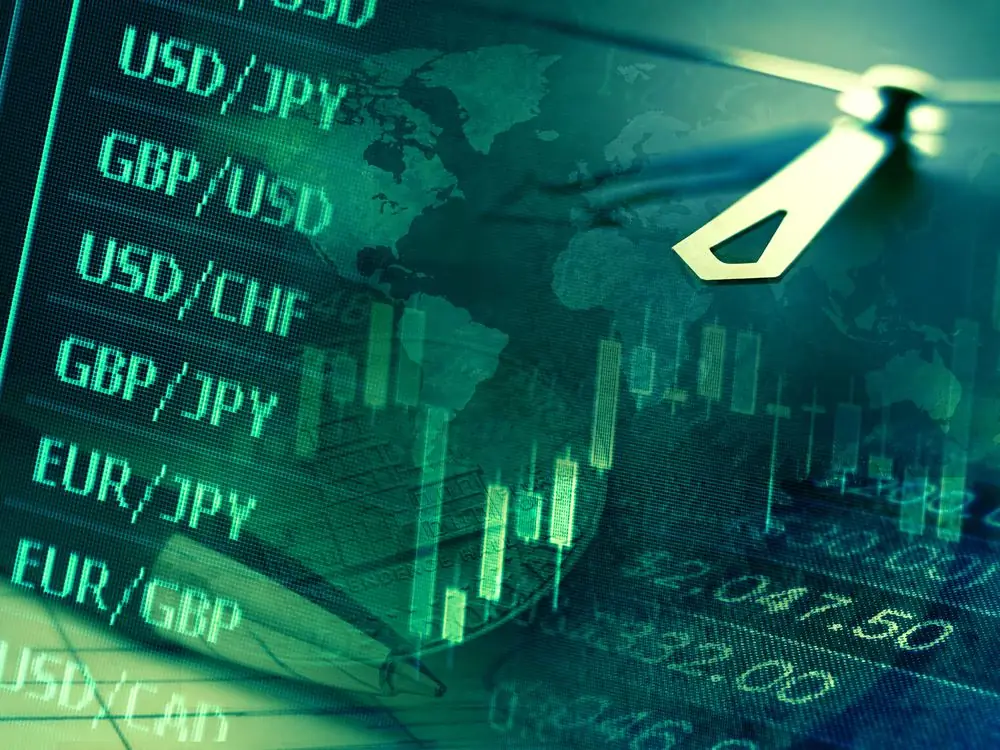 Deposits, losses and income of investment companies