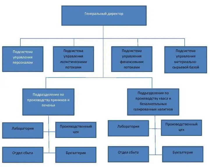 Bir organizasyonun organizasyon yapısı Tanımı, tanımı, özellikleri, avantajları ve dezavantajları