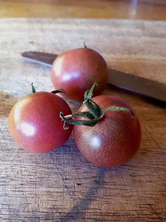 Purple tomatoes: mga uri, paglalarawan ng iba't ibang uri, mga tampok ng paglilinang, mga panuntunan sa pangangalaga, mga pakinabang at kawalan