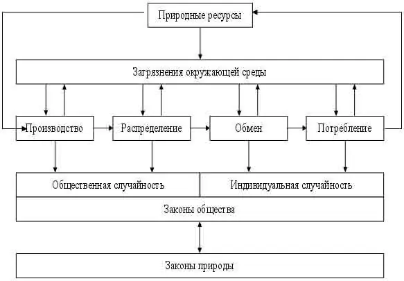 Procesi riprodhues: përkufizimi, karakteristikat, fazat dhe shembujt