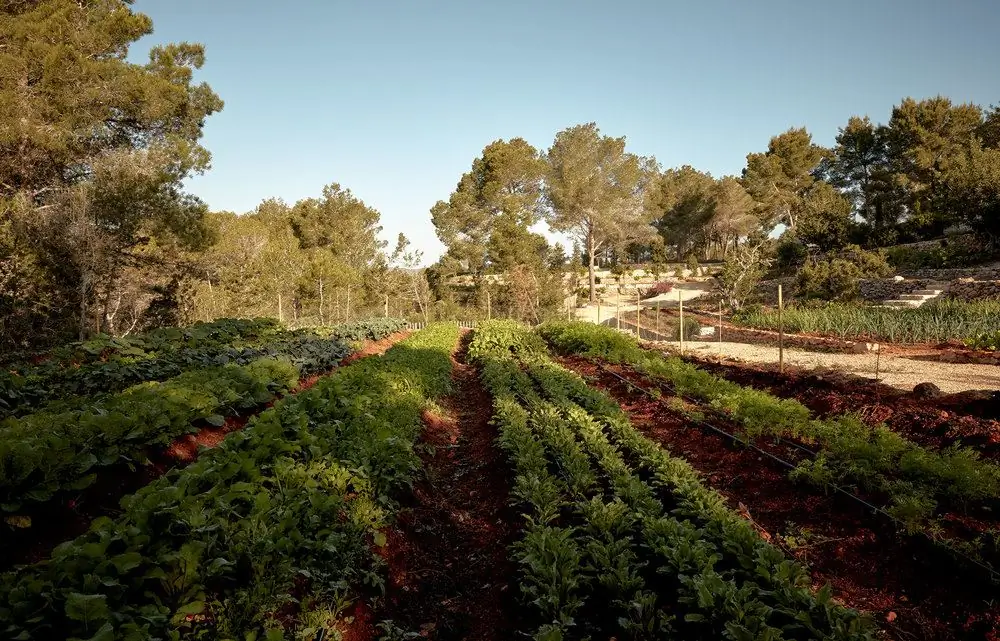 Biodynamiskt jordbruk: definition, mål och mål, grundläggande principer