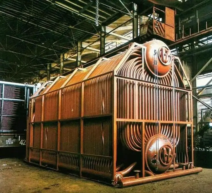 steam boiler DKVR-20-13