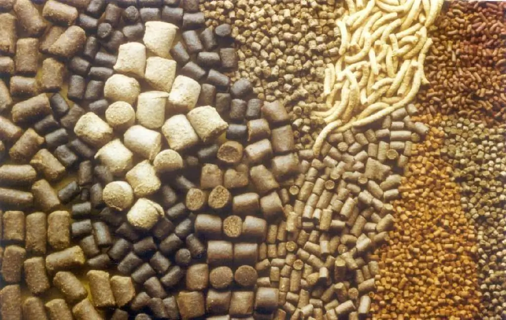 Concentrated feed: purpose, composition, nutritional value, types and quality requirements