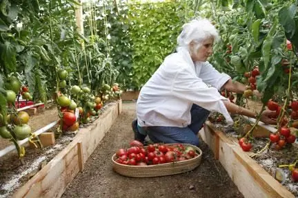 Δώστε στον εαυτό σας έναν θαυματουργό κήπο χρησιμοποιώντας τη μέθοδο Mitlider