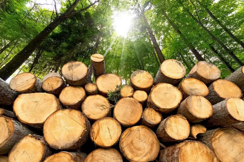 Logging is Meld aan in Rusland