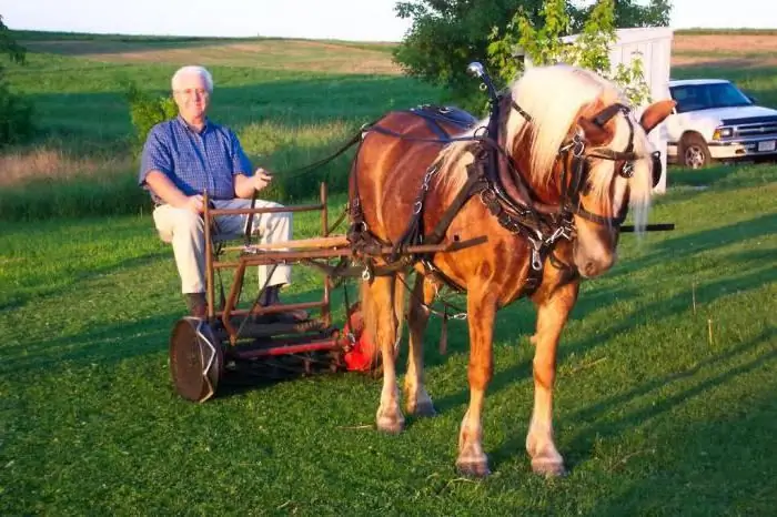 Horse mower: device, mga review. Paano gumawa ng horse mower gamit ang iyong sariling mga kamay?