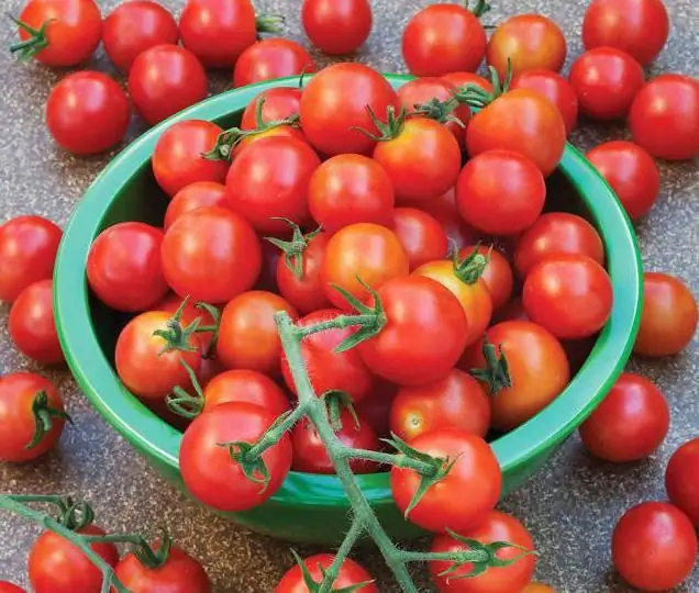 Sweet varieties of tomatoes: reviews. Sweet varieties of tomatoes for greenhouses