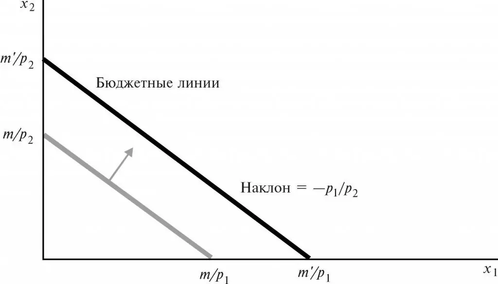 ligne budgétaire du consommateur