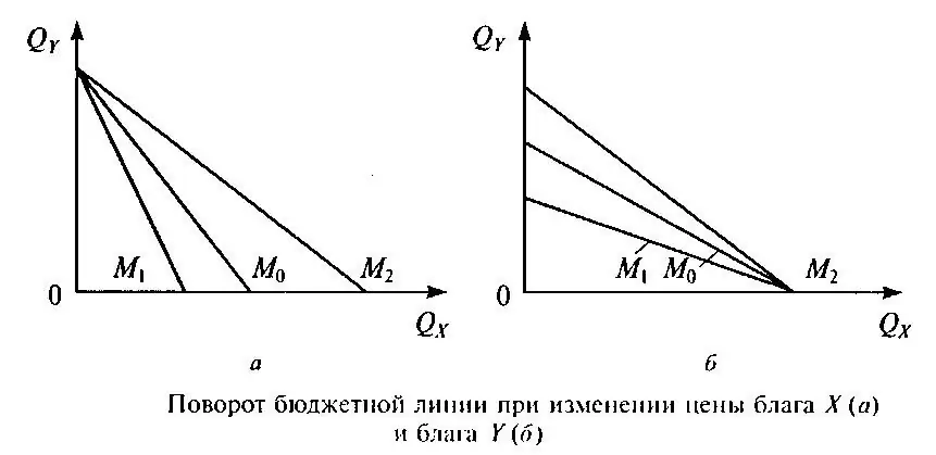 төсвийн шугам