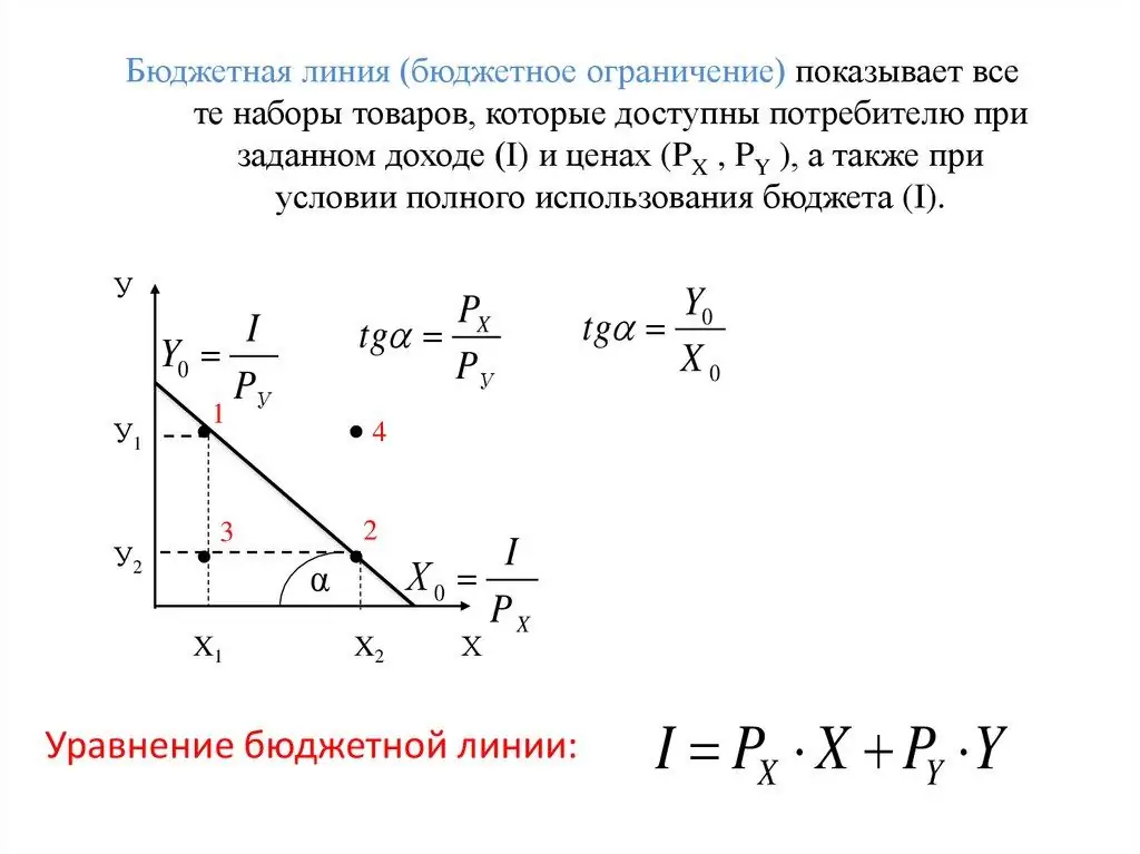 laqeydlik əyriləri və büdcə xətti