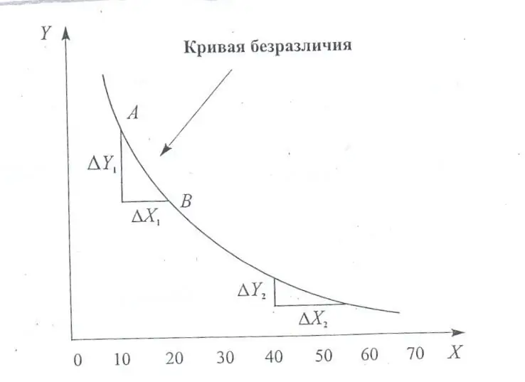 egri chiziqbyudjet chiziqlari