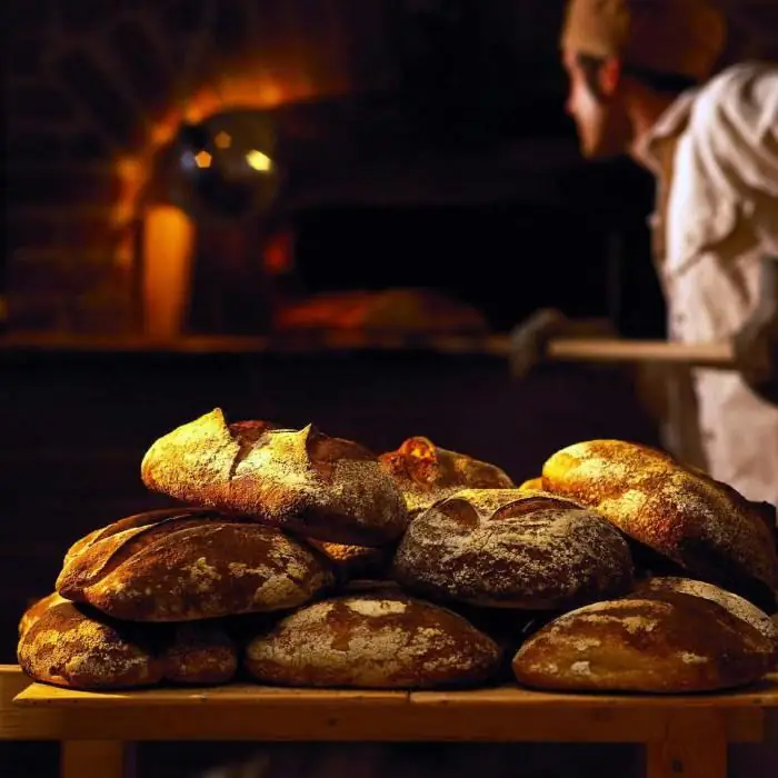 Forni da forno Voskhod - tipi, caratteristiche