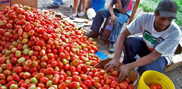 ejemplos de pequeñas empresas exitosas