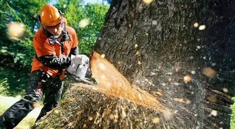 Arbeidsverdeling is die skeiding van verskillende aktiwiteite