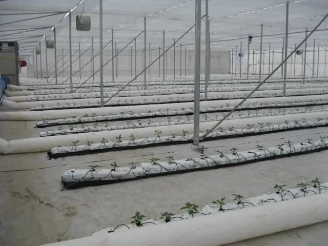 Greenhouse heating: heating methods