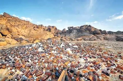 Points forts du recyclage des déchets biologiques