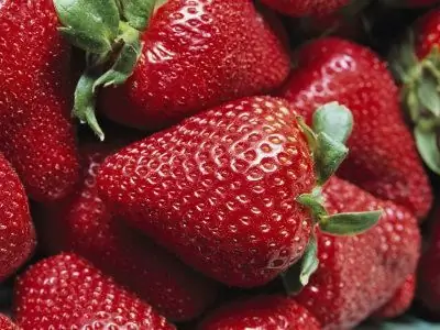 How to plant strawberries in autumn? Some Tips