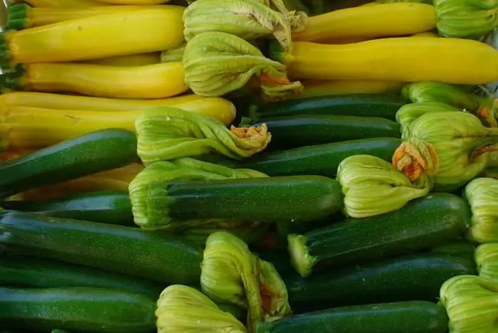 Zucchini Zucchini schwarz schön