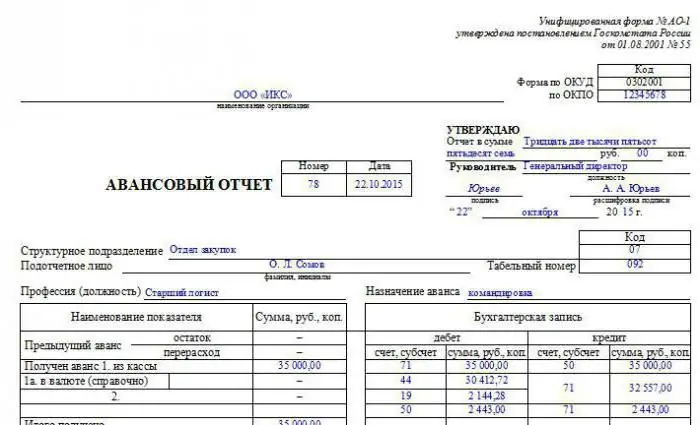 Урьдчилсан тайланг хэрхэн бичих